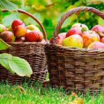 Los beneficios de las manzanas