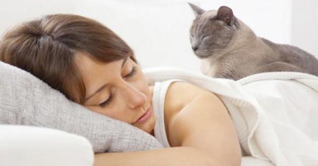 Dormir con un gato