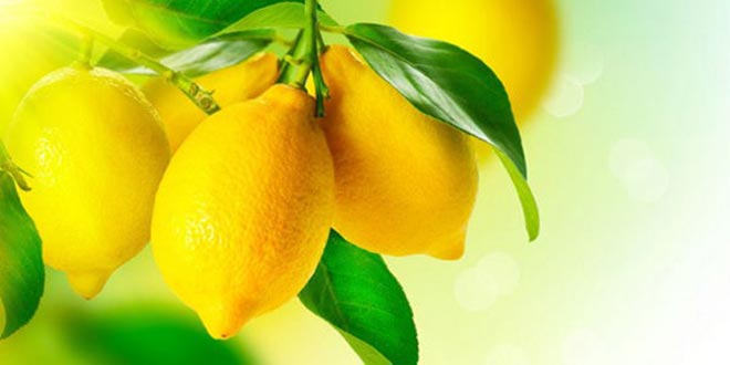 Todos los beneficios del limón