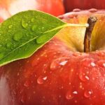 Dieta de la manzana para desintoxicar