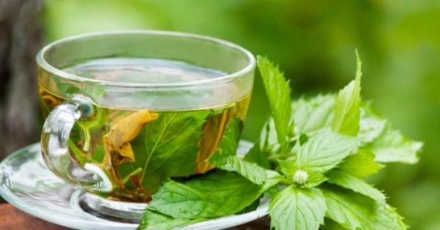 Infusión de té verde para adelgazar
