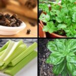 Las mejores plantas con propiedades antiinflamatorias