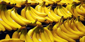 Propiedades y beneficios del plátano