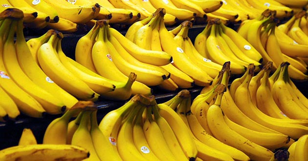 Propiedades y beneficios del plátano