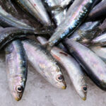 Propiedades y beneficios de la sardina