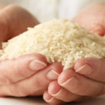Propiedades y beneficios del arroz