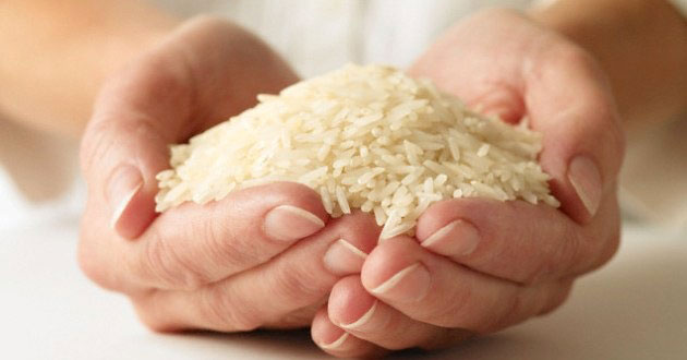 Propiedades y beneficios del arroz