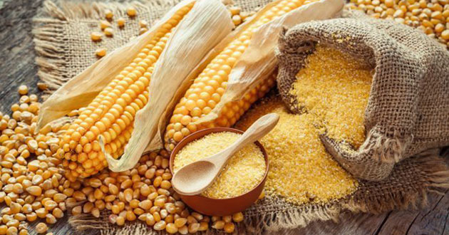 Propiedades y beneficios del maíz