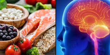 Alimentación para mejorar la función del cerebro