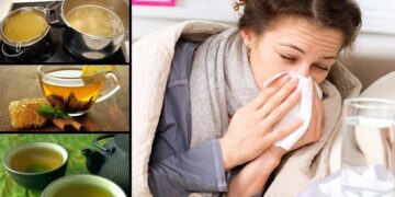 Cómo combatir la gripe con remedios caseros
