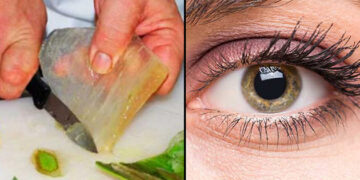 Remedio natural para restaurar la vista