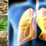 Hierbas para mejorar tu salud pulmonar