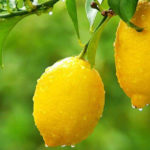 Beneficios del agua con limón