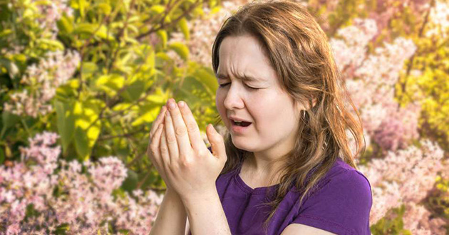 Cómo combatir la alergia primaveral con un remedio casero a base de ajo