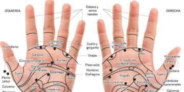 Cómo mejorar la salud con estos masajes para la mano